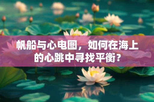 帆船与心电图，如何在海上的心跳中寻找平衡？