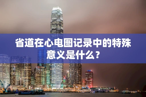 省道在心电图记录中的特殊意义是什么？