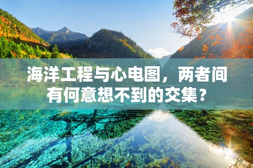 海洋工程与心电图，两者间有何意想不到的交集？