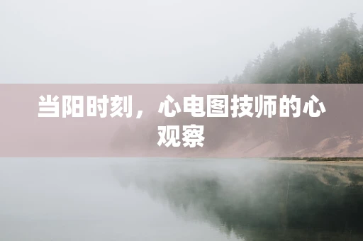 当阳时刻，心电图技师的心观察