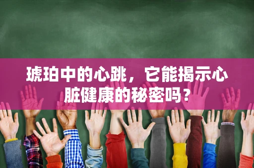 琥珀中的心跳，它能揭示心脏健康的秘密吗？