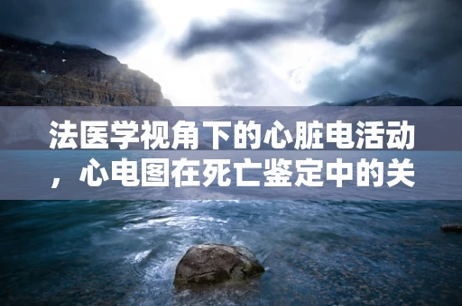 法医学视角下的心脏电活动，心电图在死亡鉴定中的关键作用？