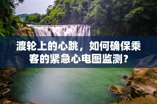 渡轮上的心跳，如何确保乘客的紧急心电图监测？