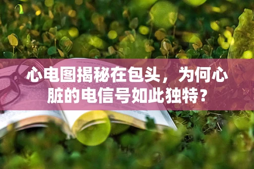 心电图揭秘在包头，为何心脏的电信号如此独特？