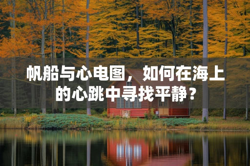 帆船与心电图，如何在海上的心跳中寻找平静？