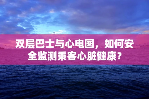 双层巴士与心电图，如何安全监测乘客心脏健康？