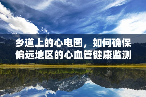 乡道上的心电图，如何确保偏远地区的心血管健康监测？