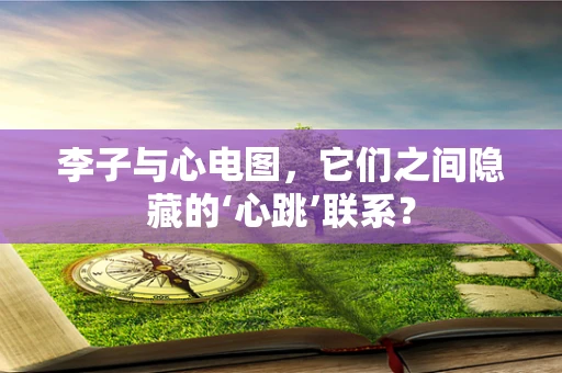 李子与心电图，它们之间隐藏的‘心跳’联系？